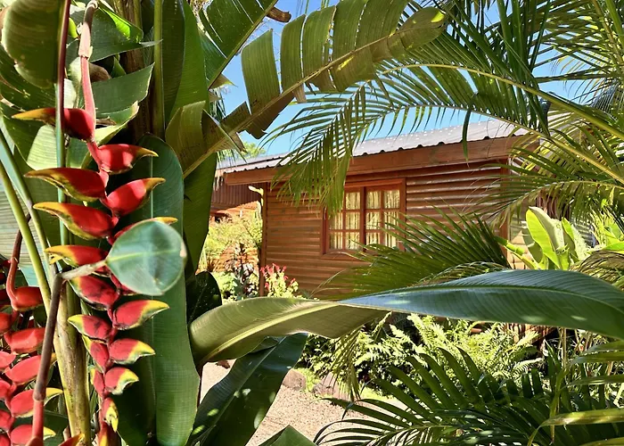 Terra Lodge