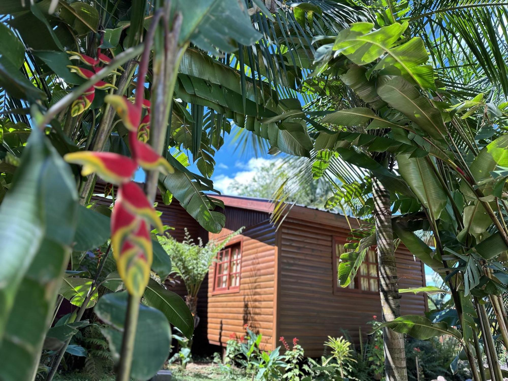 Terra Puerto Iguazú