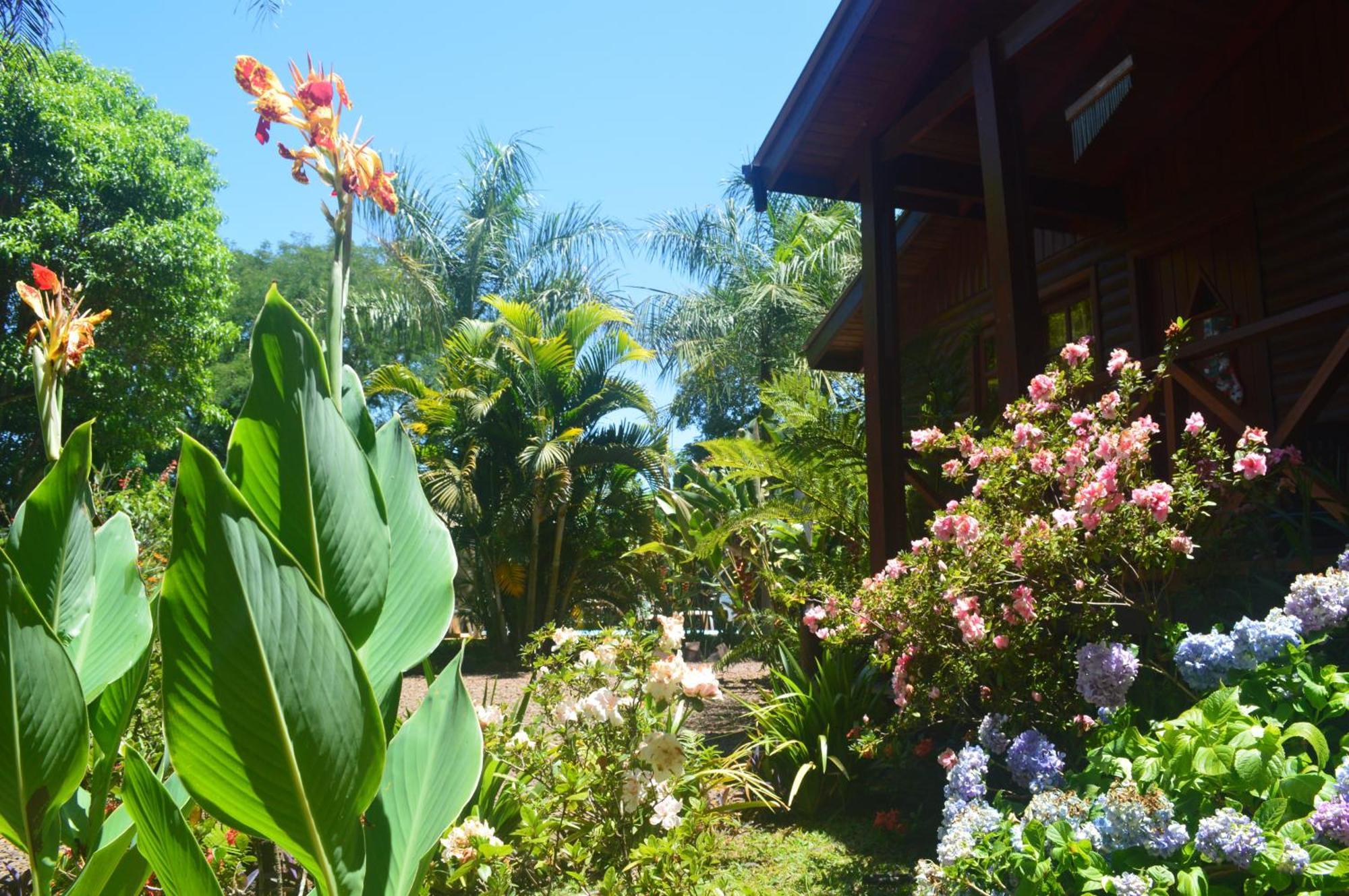 Terra Lodge