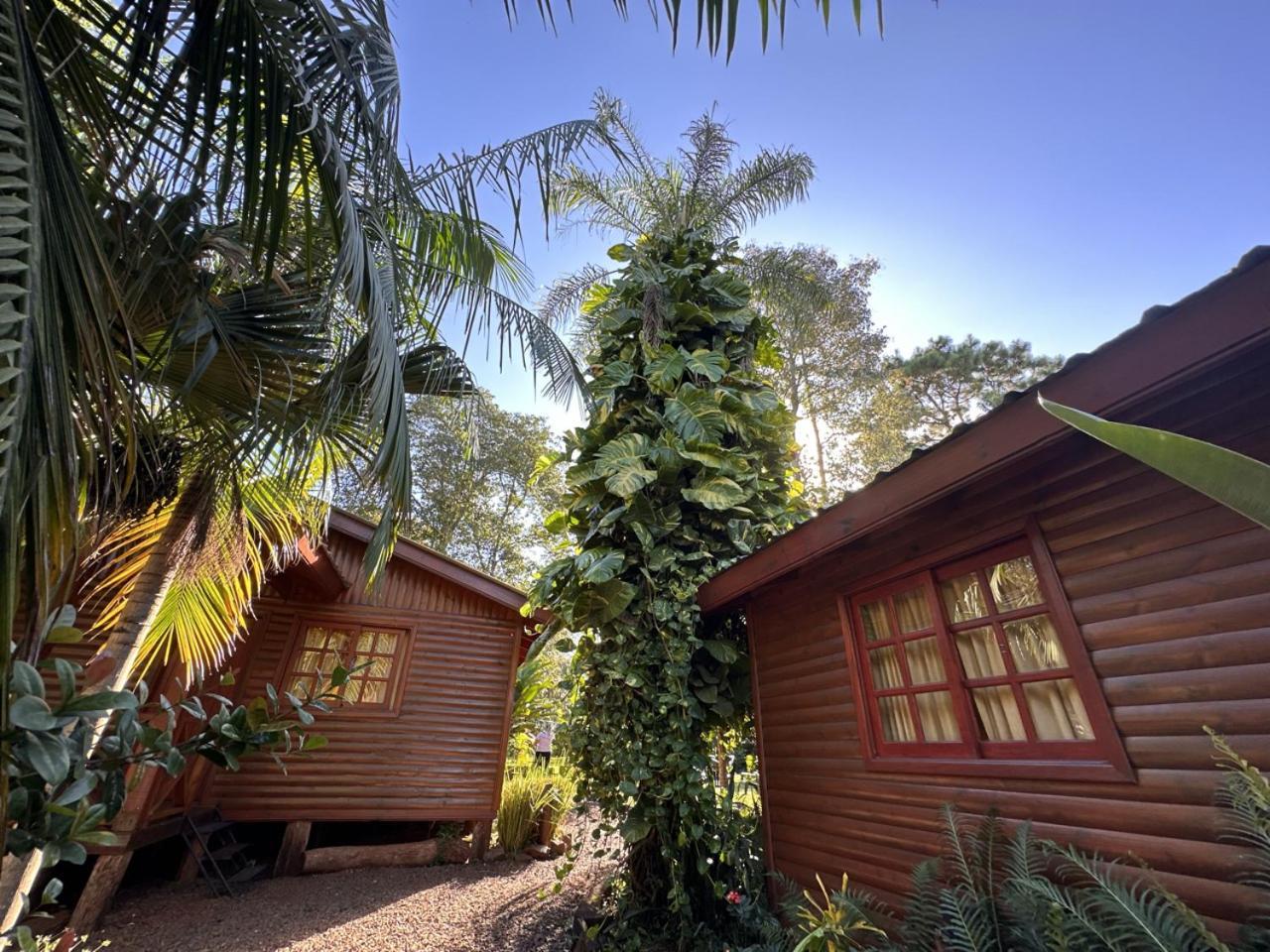 Terra Puerto Iguazú