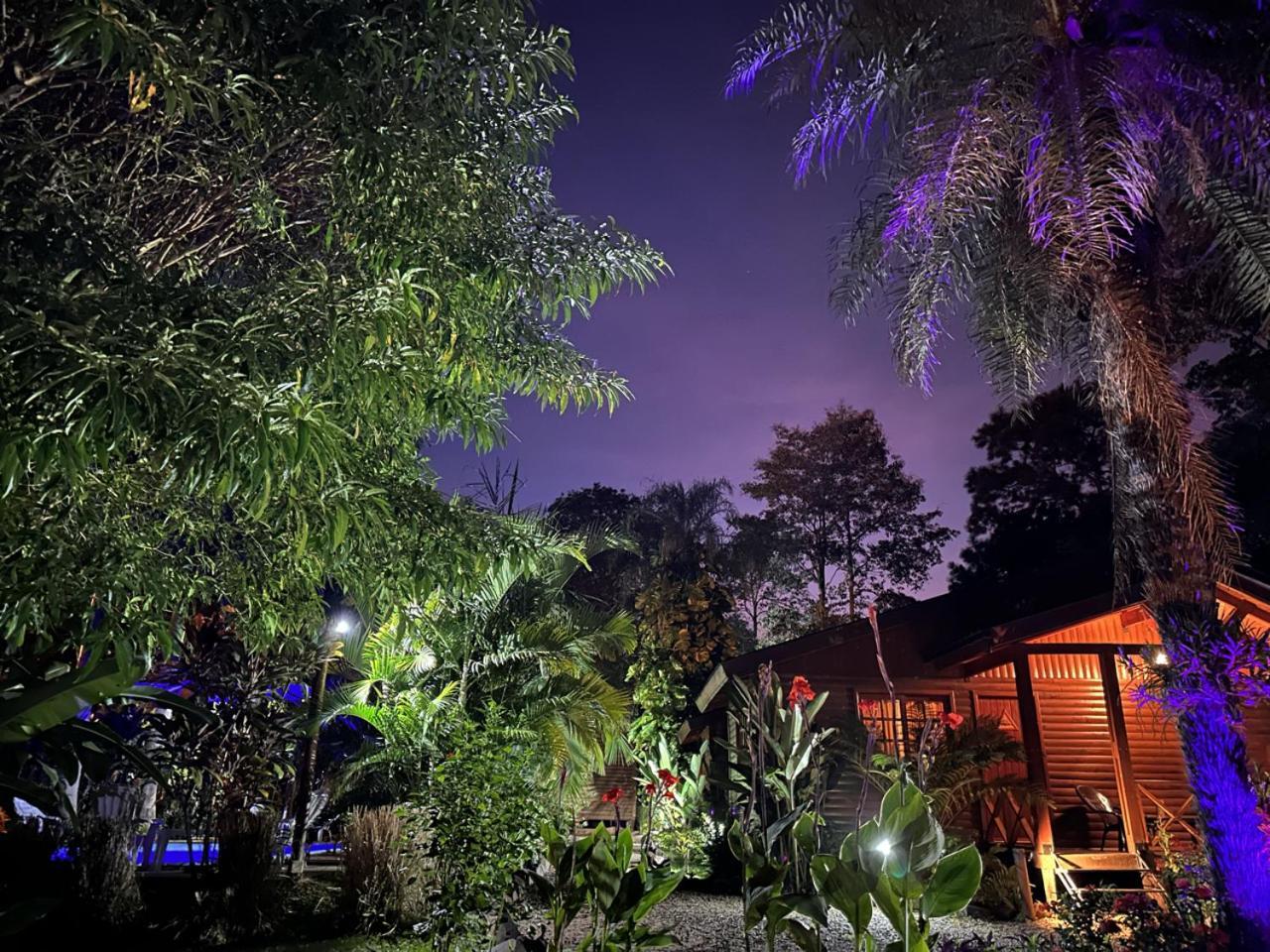 Terra * Puerto Iguazu