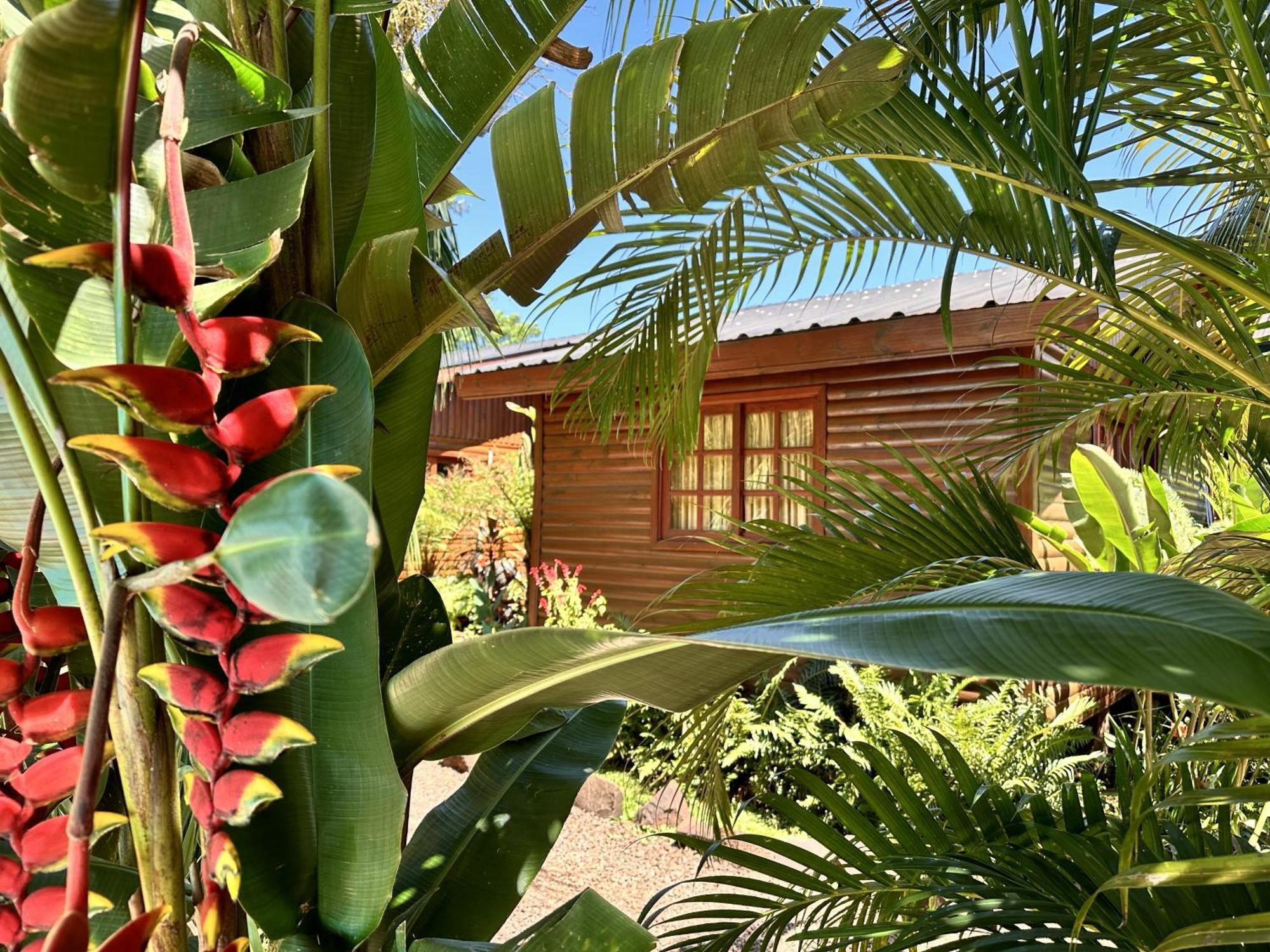 Terra Puerto Iguazú