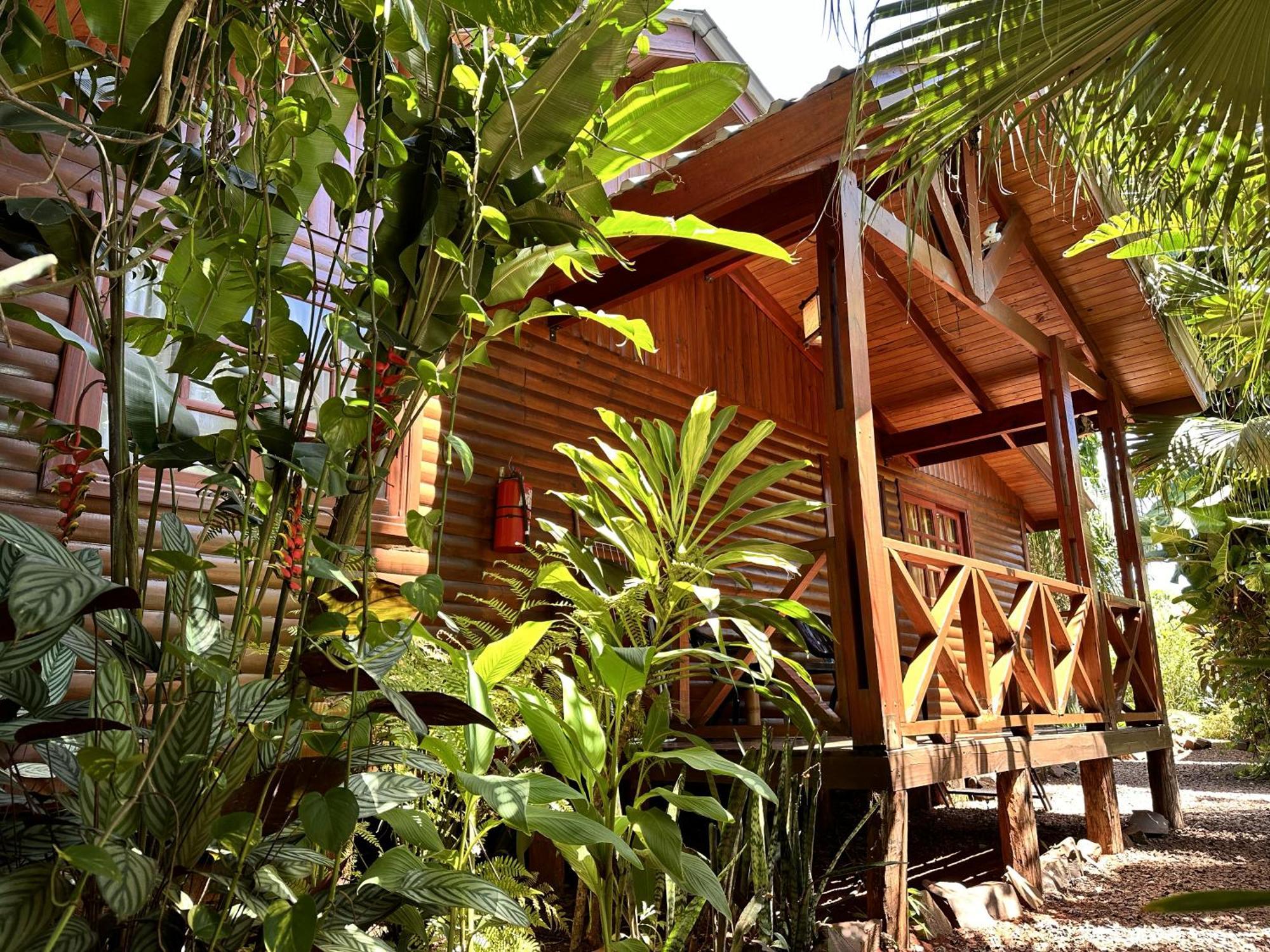 Terra Lodge